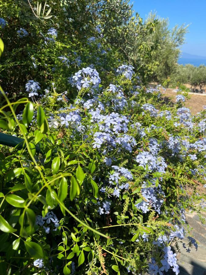 Villa Pefnos Агиос-Николаос Экстерьер фото